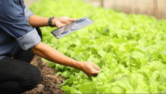 rfid in agriculture